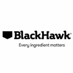 blackhawk logo