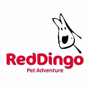 red dingo logo